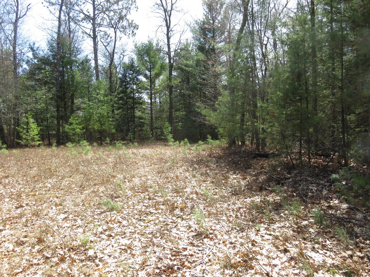 6948 Military Road Three Lakes, WI 54562 - Photo 11 of 13 Gallery Image 11