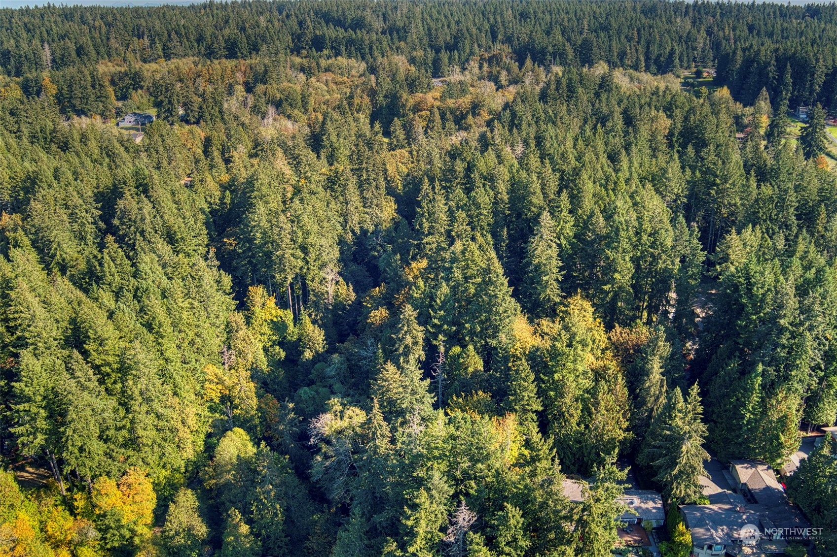 9999 Olympic View Loop Road Northwest Silverdale, WA 98383 - Photo 15 of 16 Gallery Image 15