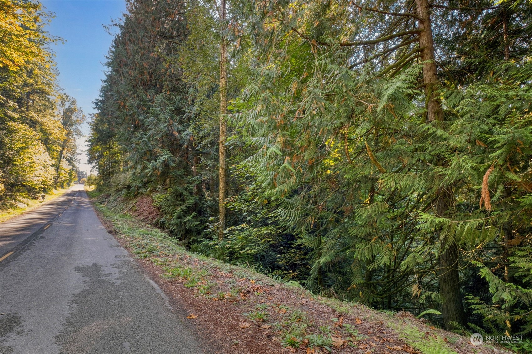 9999 Olympic View Loop Road Northwest Silverdale, WA 98383 - Photo 3 of 16 Gallery Image 3