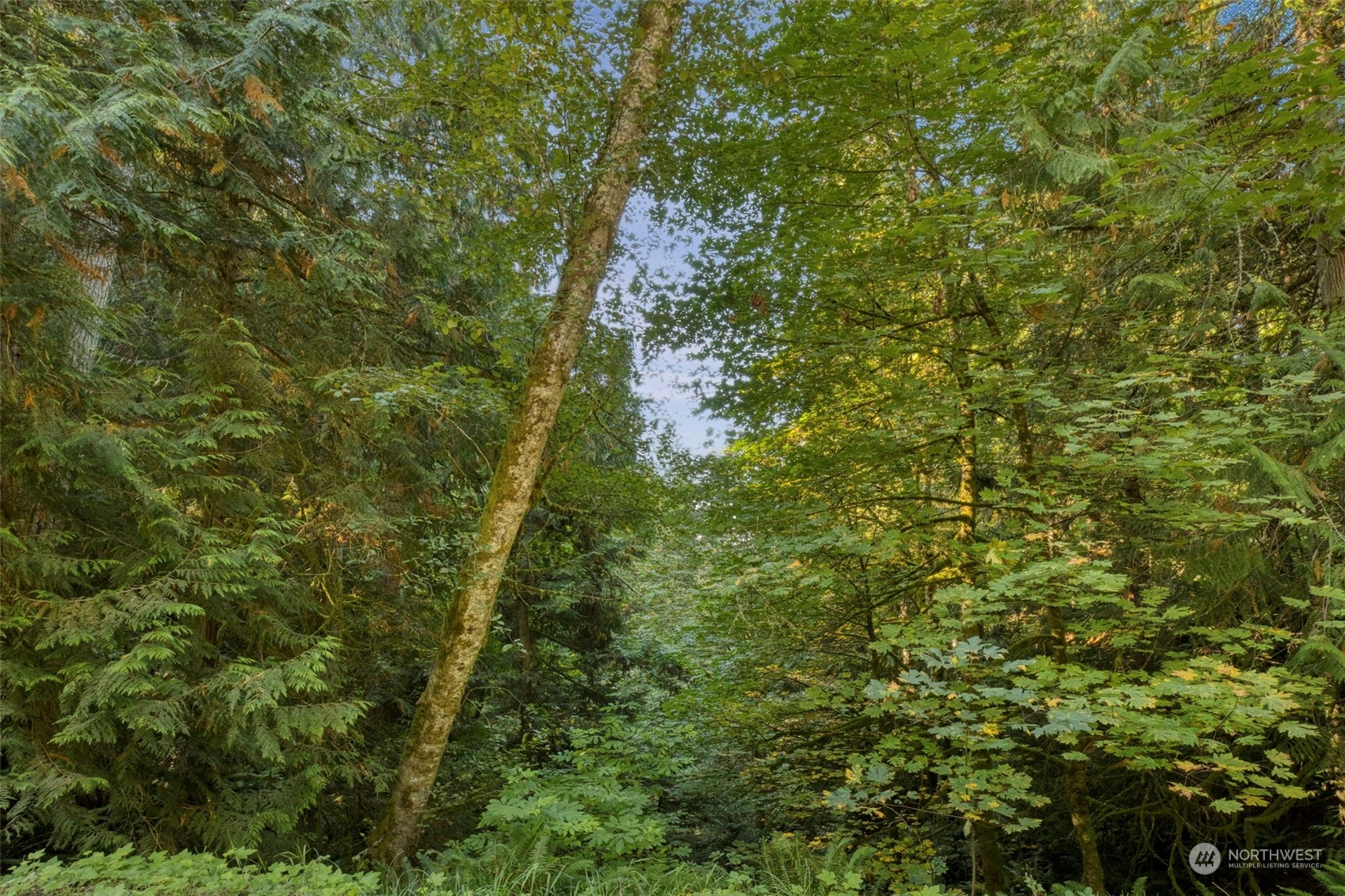 9999 Olympic View Loop Road Northwest Silverdale, WA 98383 - Photo 4 of 16 Gallery Image 4