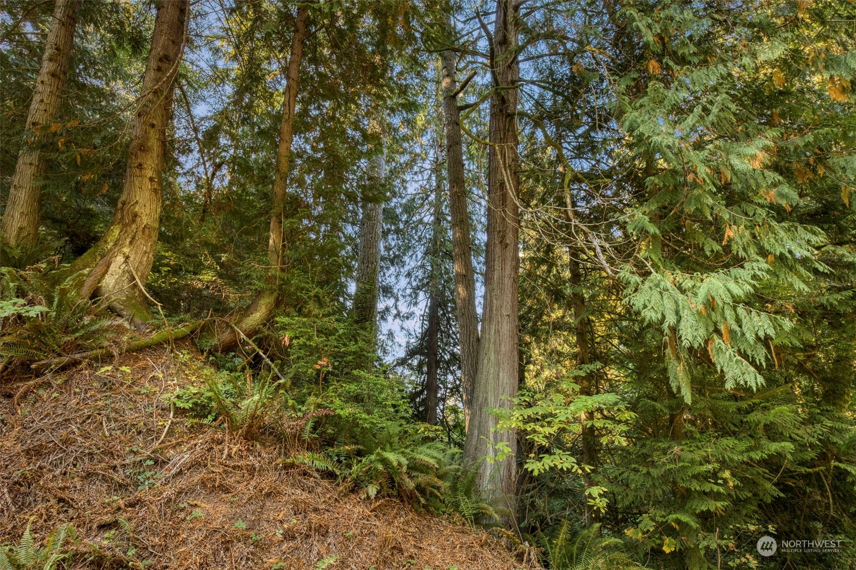 9999 Olympic View Loop Road Northwest Silverdale, WA 98383 - Photo 5 of 16 Gallery Image 5