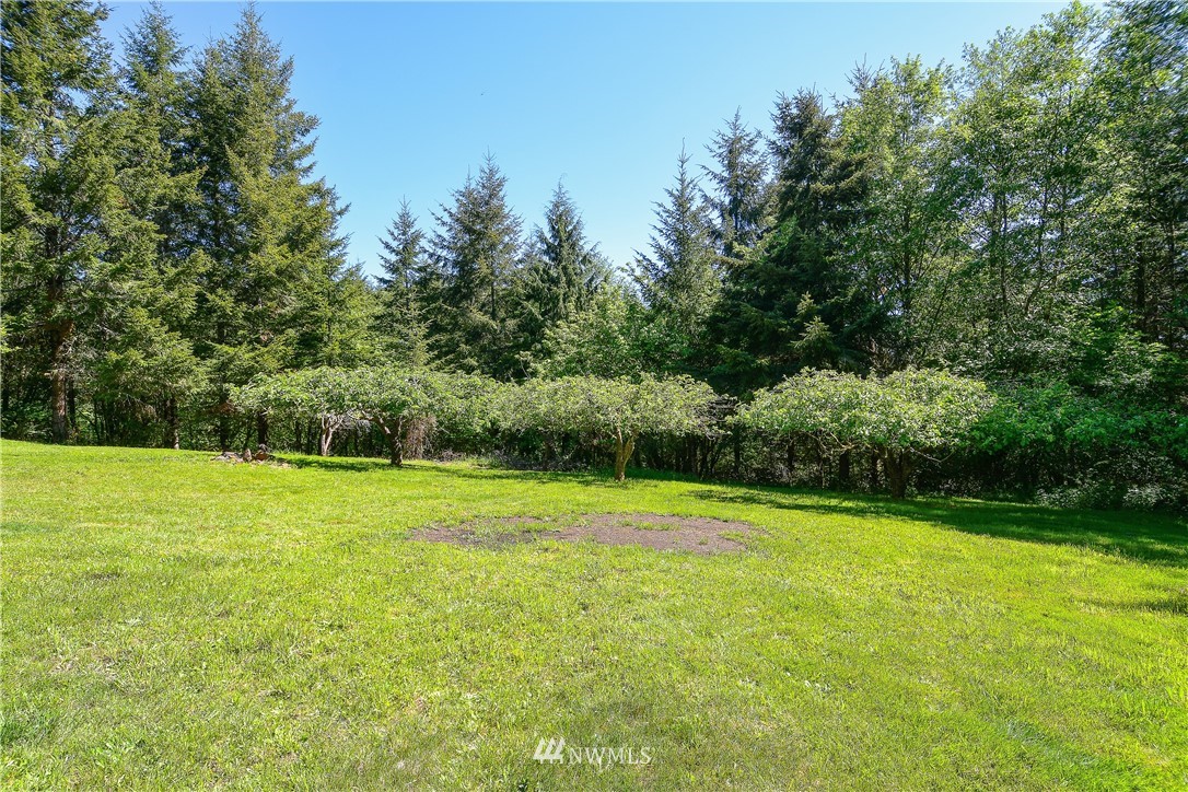 883 Fir Lane Road Castle Rock, WA 98611 - Photo 22 of 27
