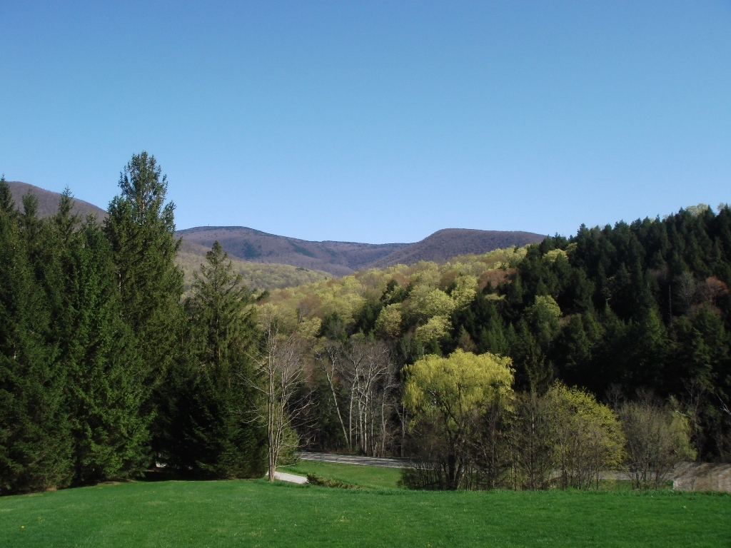Spring view