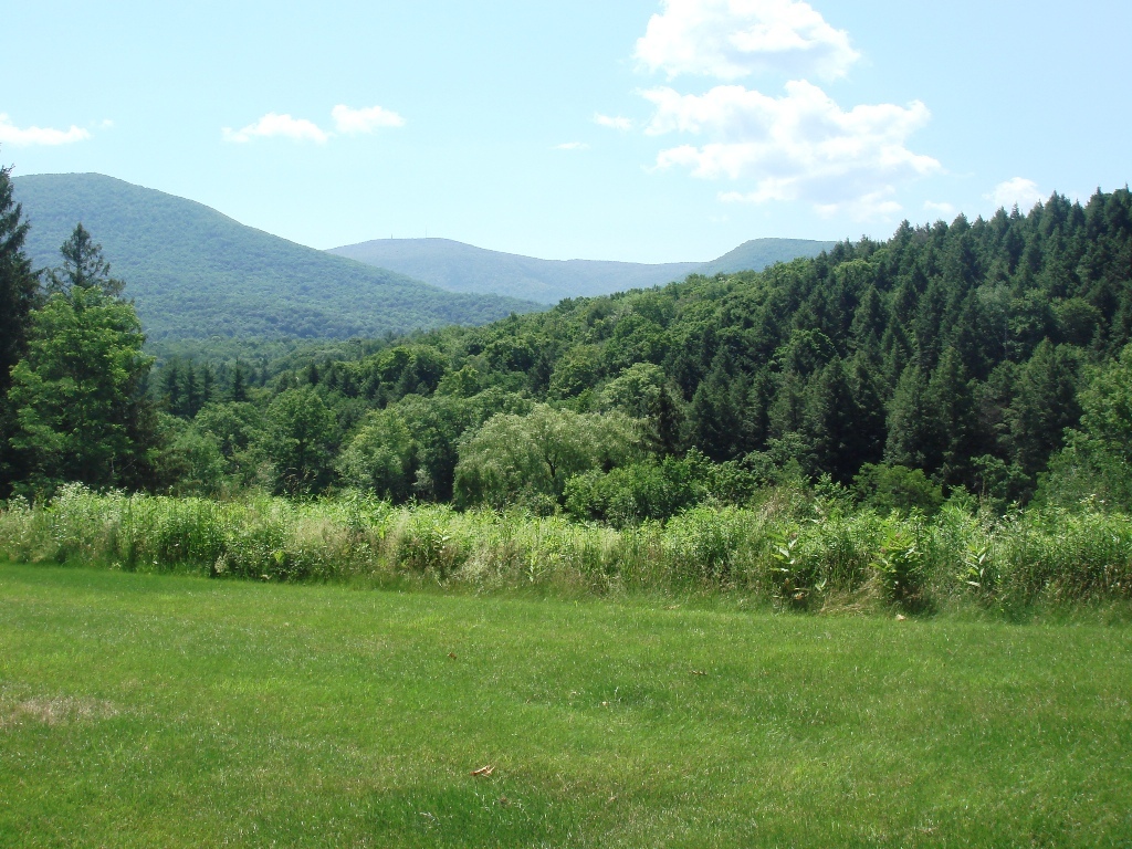 1399 Green River Road Williamstown, MA 01267 - Photo 20 of 21 Mountain view, summer