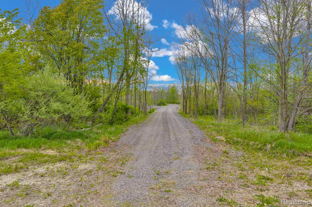 0 Martin Road Capac, MI 48014 - Photo 9 of 20