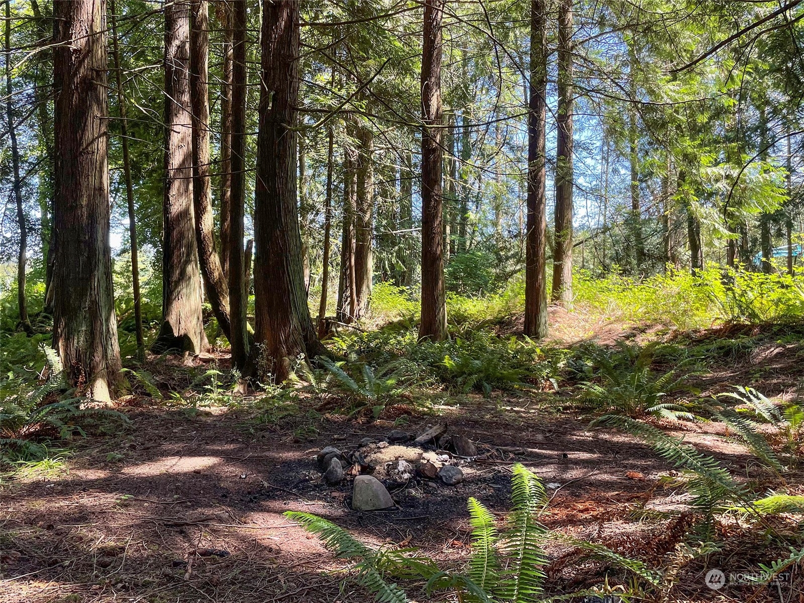 104 Waldo Road Sequim, WA 98382 - Photo 39 of 40 a garden with lots of trees