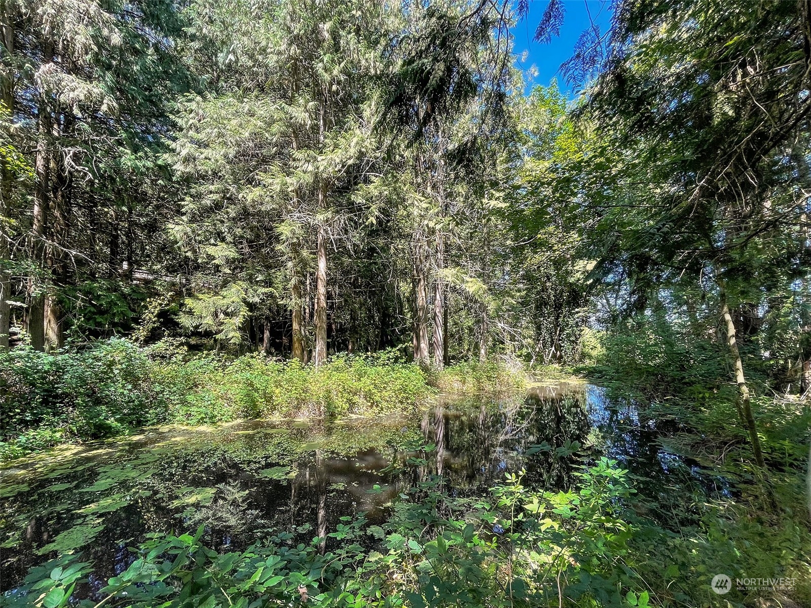 104 Waldo Road Sequim, WA 98382 - Photo 40 of 40 a view of outdoor space and trees all around