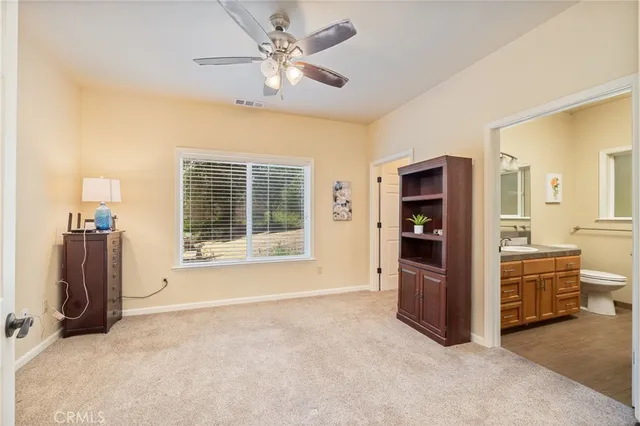 a view of a backyard with plants and trees