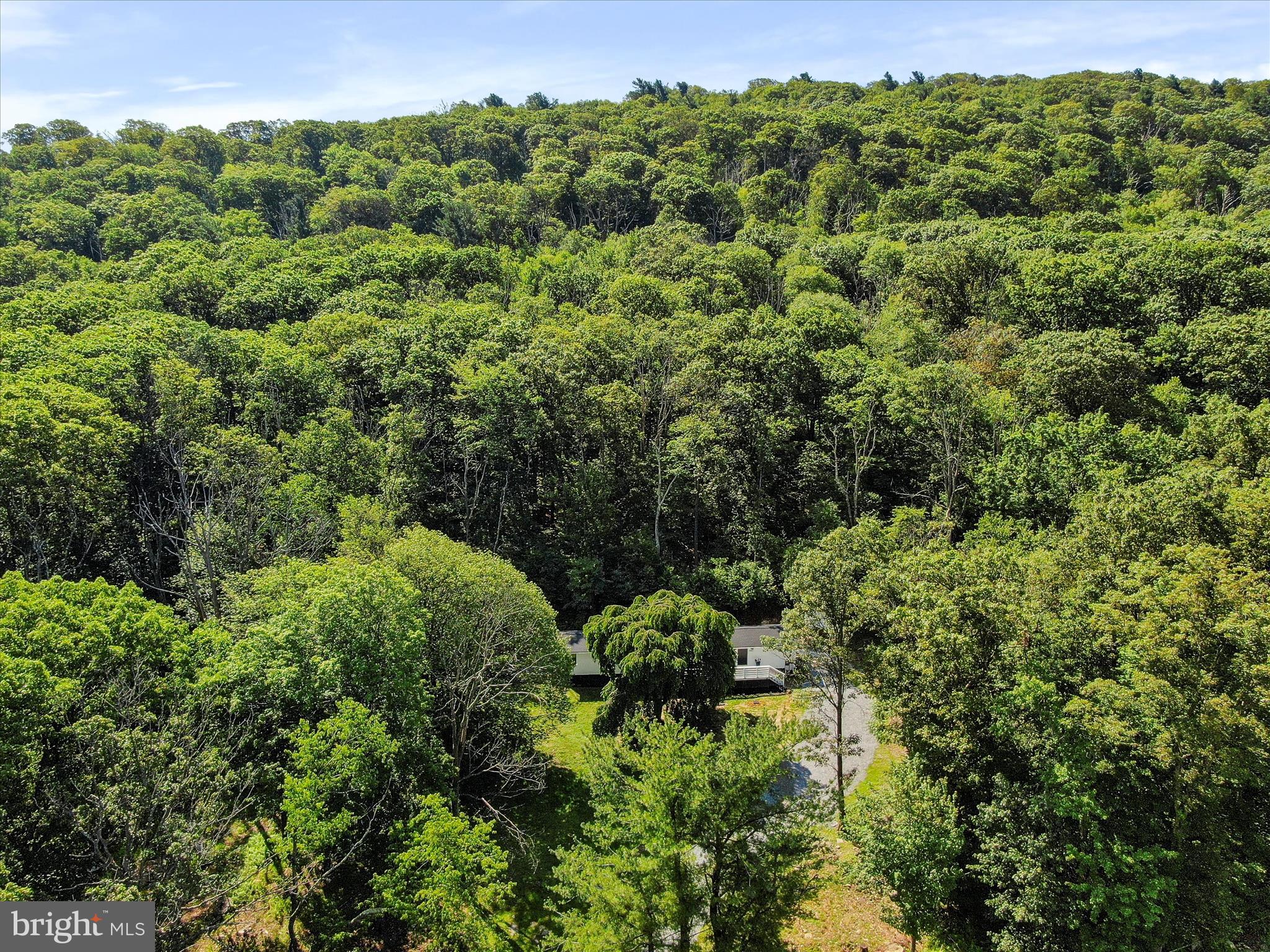 14307 Pen Mar High Rock Road Cascade, MD 21719 - Photo 51 of 57 Gallery Image 51
