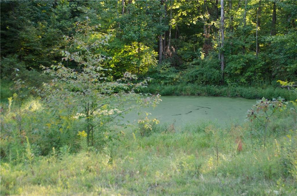 3040 Hancock Ridge Road Martinsville, IN 46151 - Photo 4 of 24