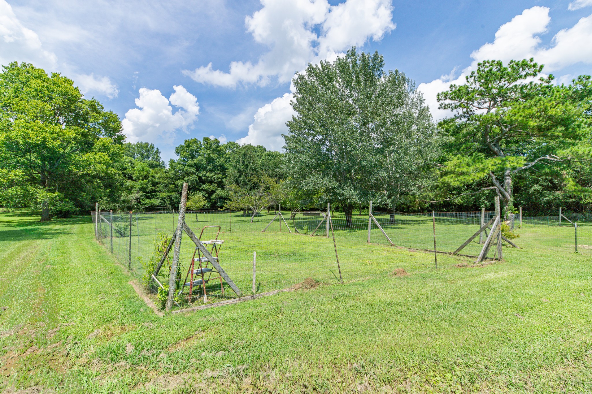 330 Holly Grove Road Lewisburg, TN 37091 - Photo 45 of 84