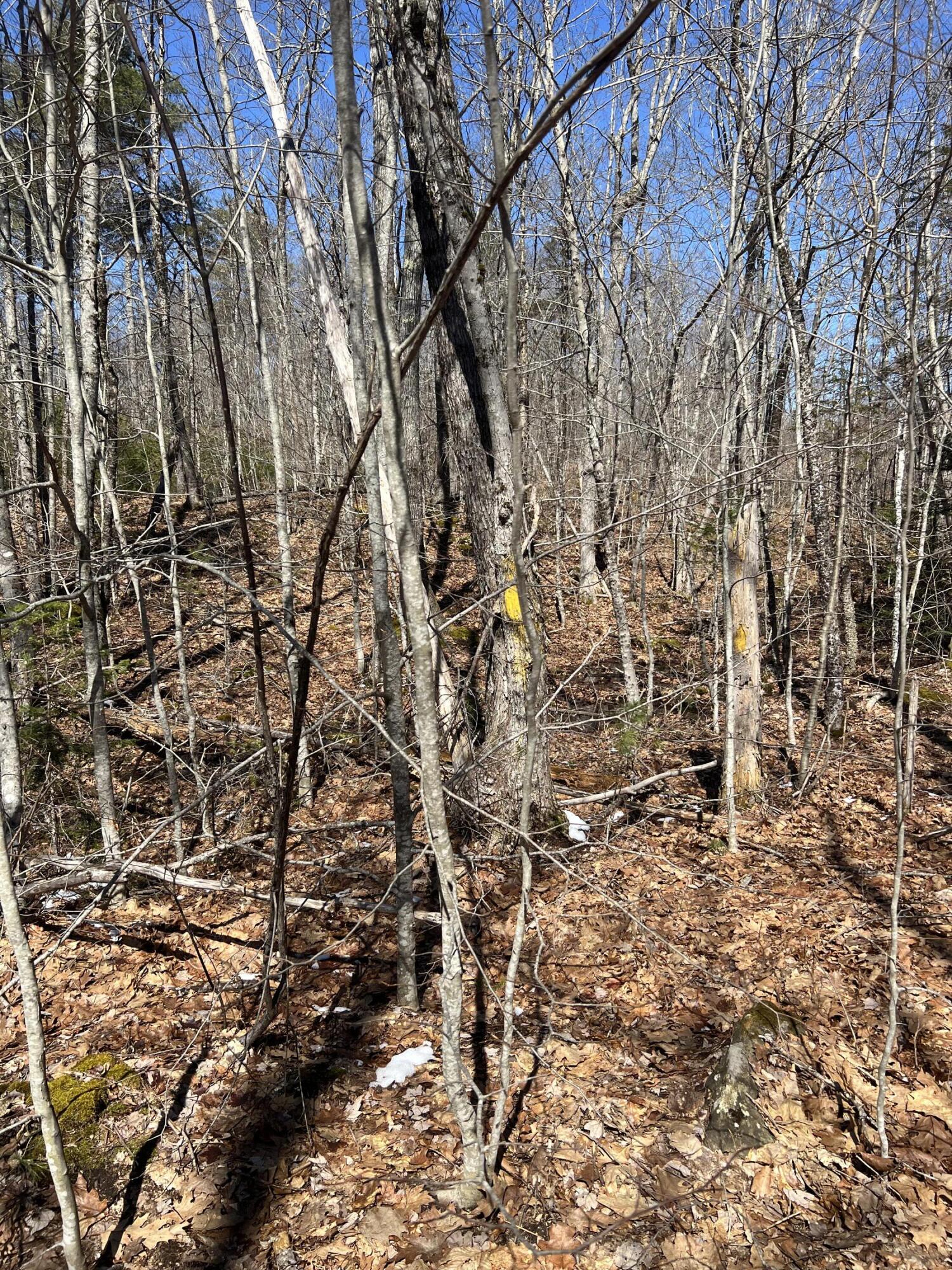 700 Wing Road Palermo, ME 04354 - Photo 22 of 24 IMG_6371
