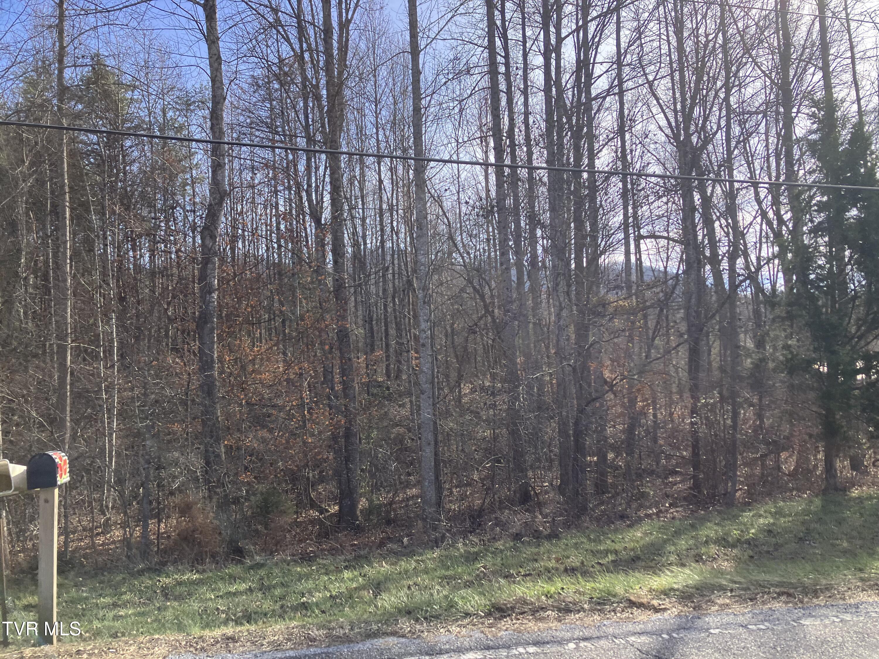 3927 Cherokee Road Jonesborough, TN 37659 - Photo 7 of 11 IMG_3115