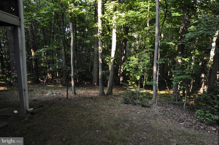 1943 Barton Hill Road Reston, VA 20191 - Photo 24 of 28 a view of a forest