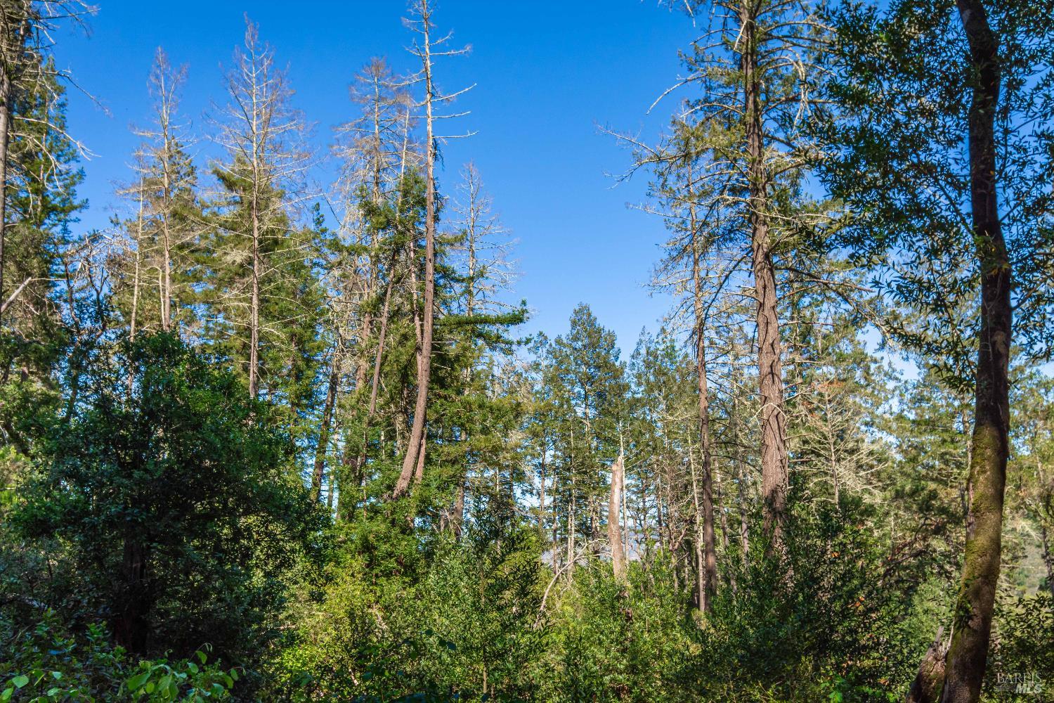 0 Dry Creek Road Napa, CA 94558 - Photo 46 of 98