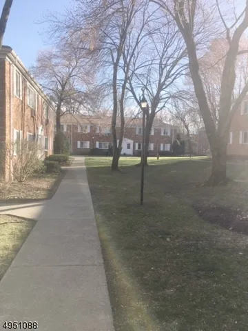 a view of a yard with trees