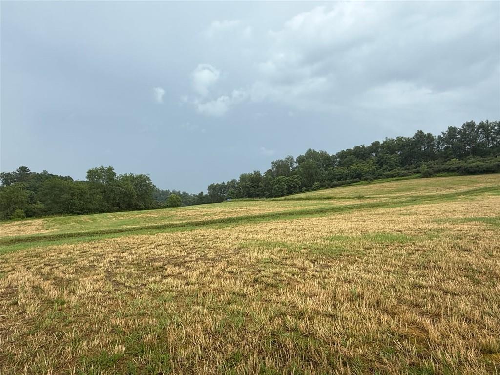 21.63-acres Along Route 536 & Harper Road Walston, PA 15767 - Photo 3 of 3