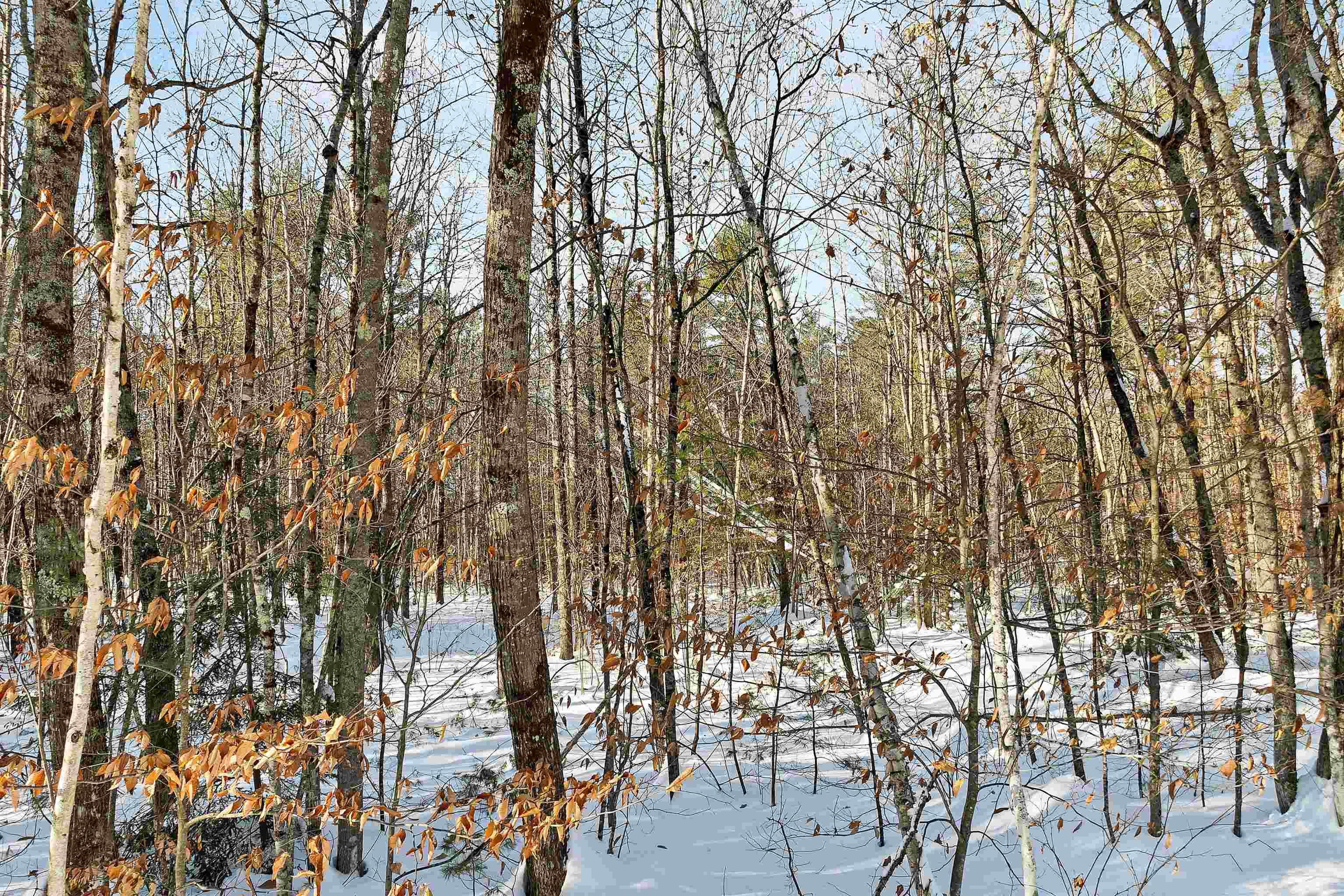 0 Green Mountain Road, Unit 13 Effingham, NH 03882 - Photo 11 of 22