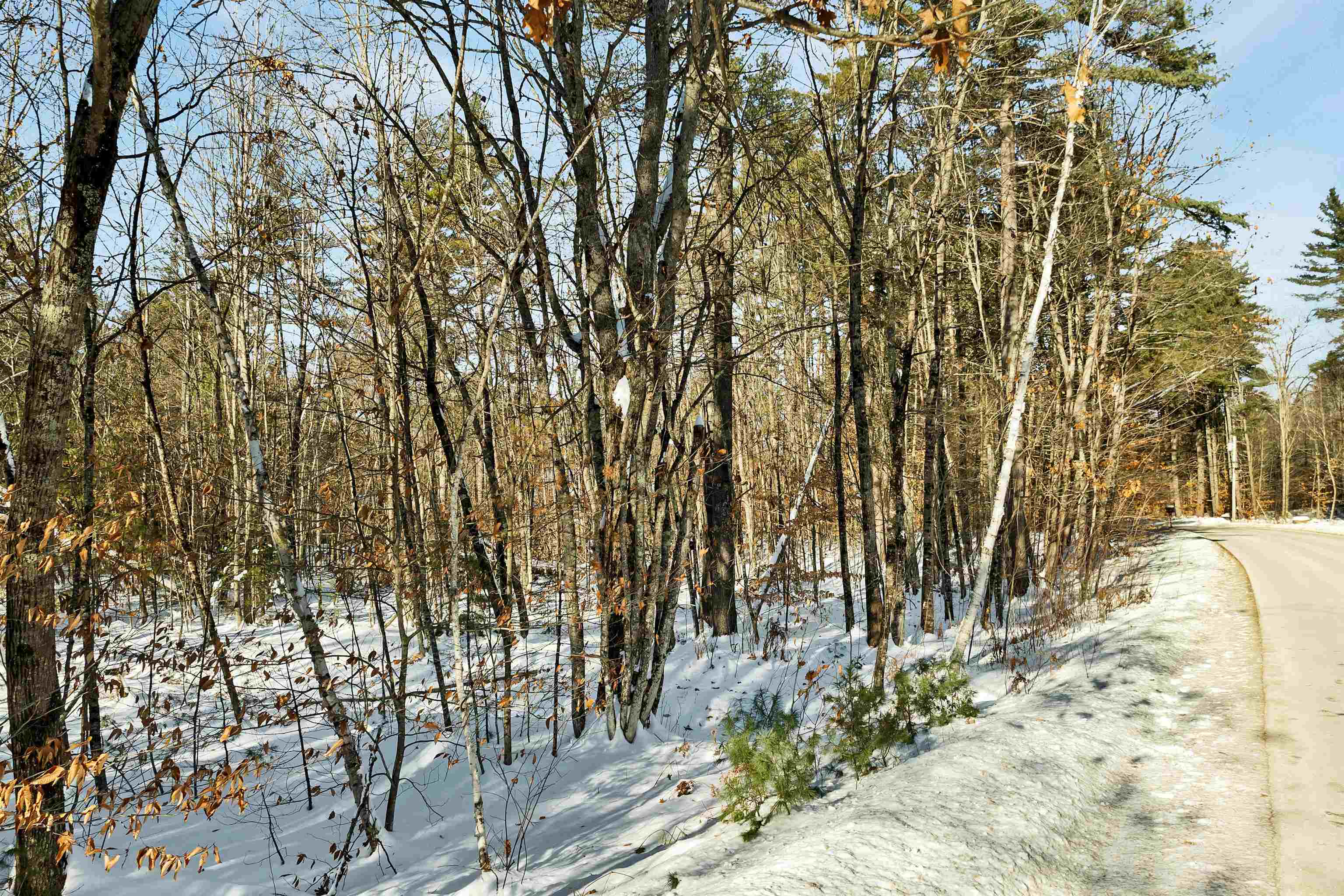 0 Green Mountain Road, Unit 13 Effingham, NH 03882 - Photo 12 of 22