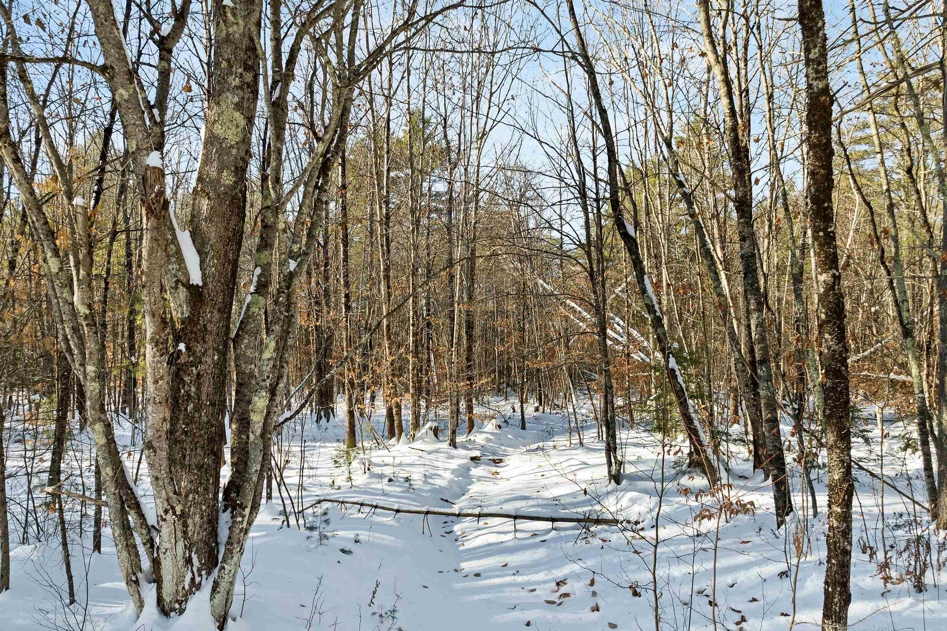 0 Green Mountain Road, Unit 13 Effingham, NH 03882 - Photo 13 of 22