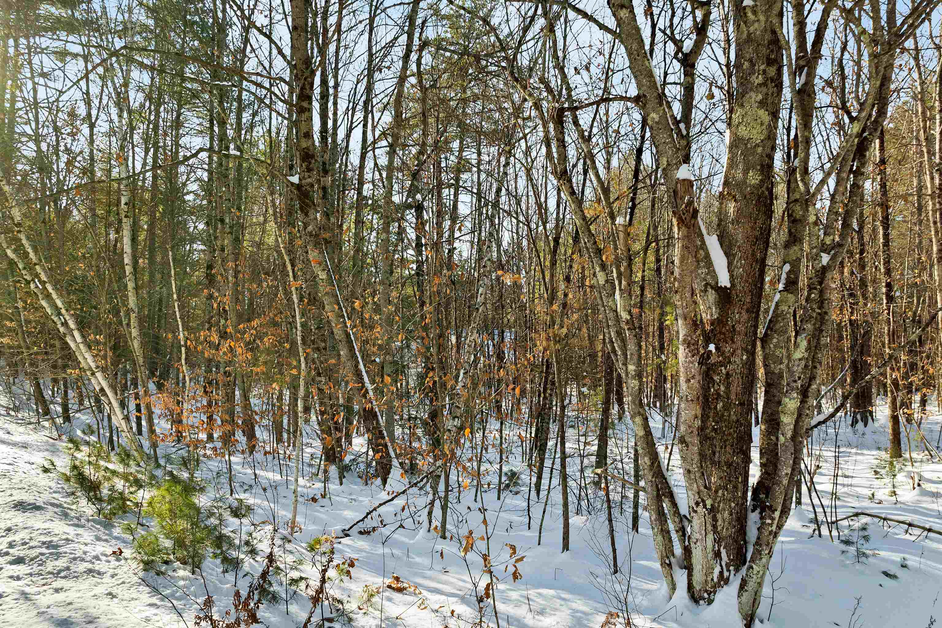 0 Green Mountain Road, Unit 13 Effingham, NH 03882 - Photo 14 of 22