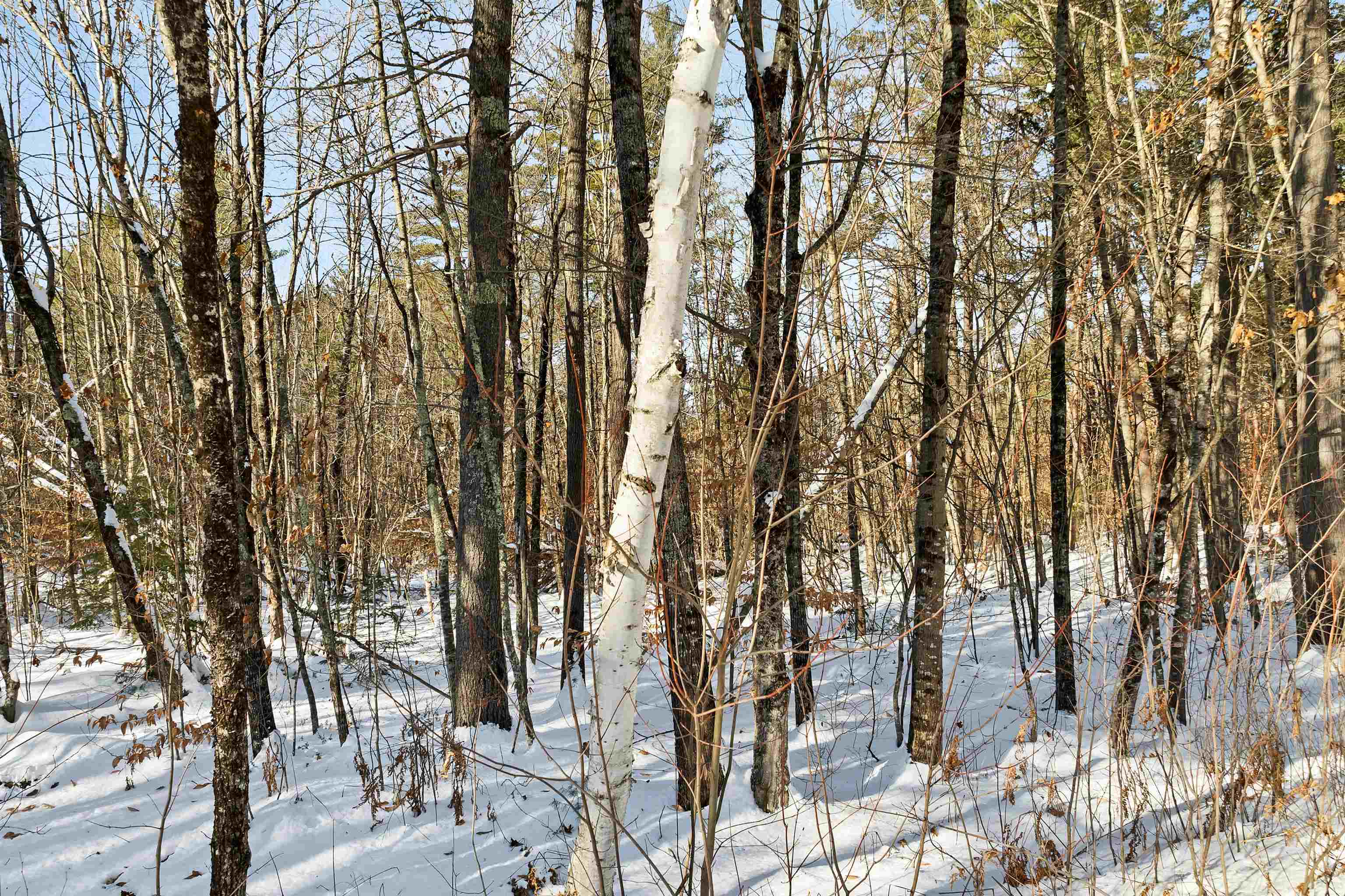 0 Green Mountain Road, Unit 13 Effingham, NH 03882 - Photo 15 of 22