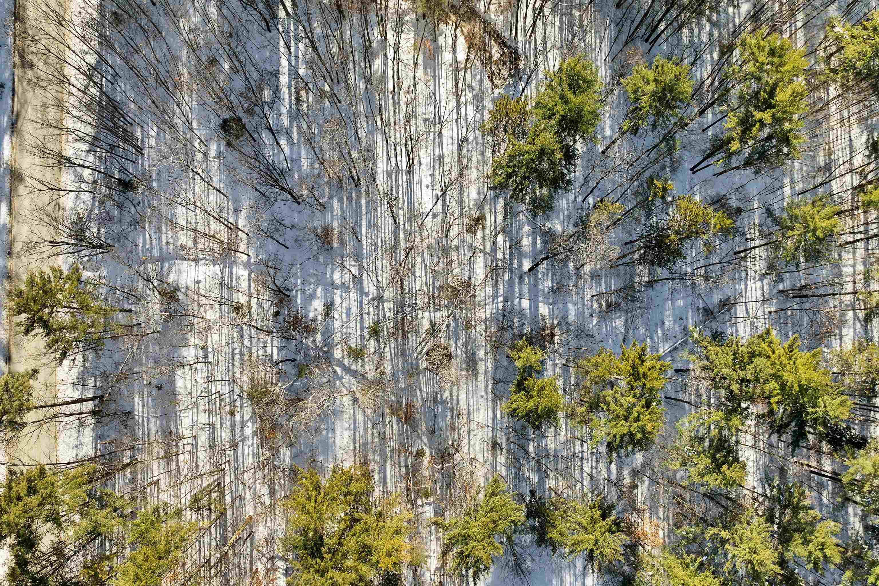 0 Green Mountain Road, Unit 13 Effingham, NH 03882 - Photo 20 of 22