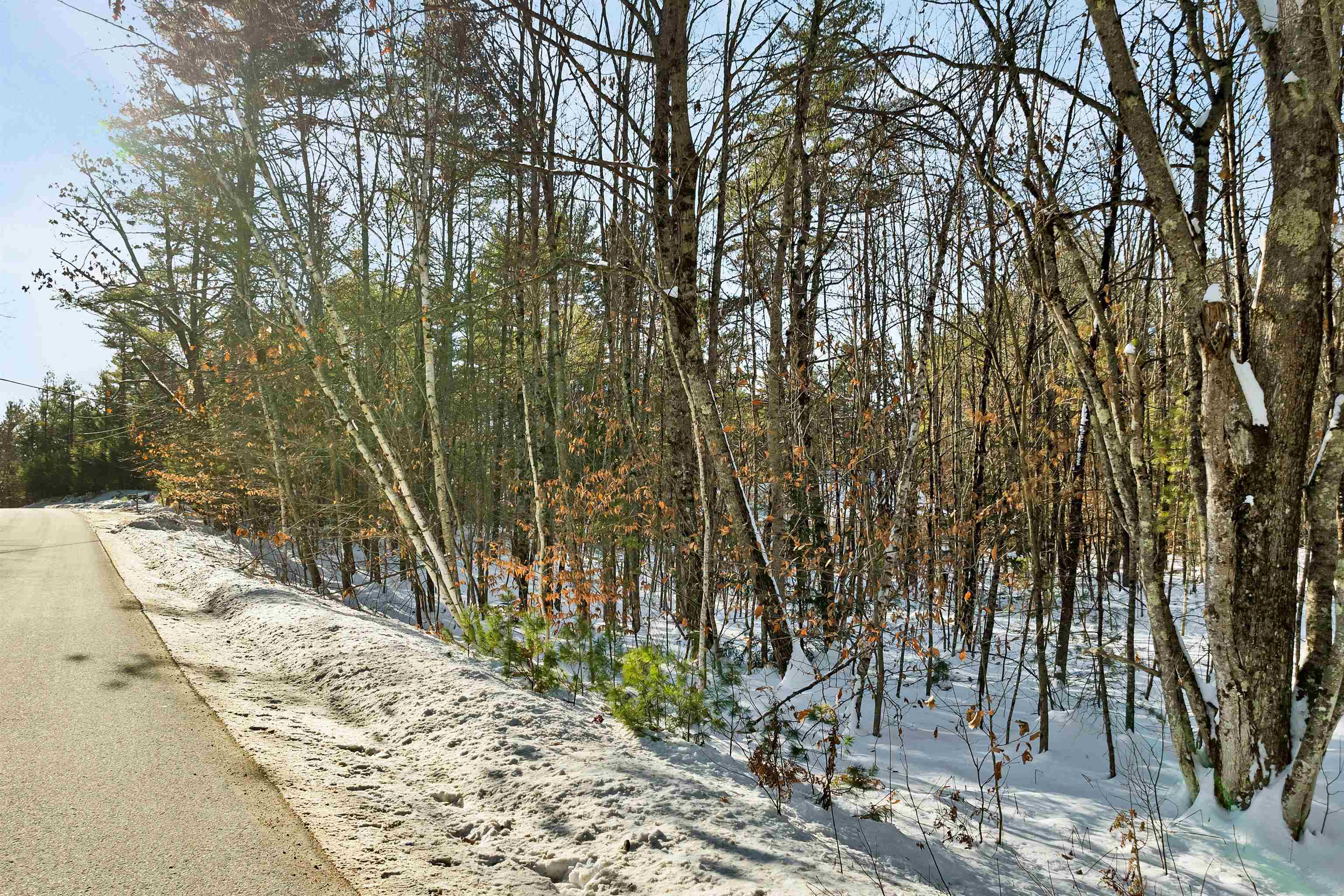 0 Green Mountain Road, Unit 13 Effingham, NH 03882 - Photo 21 of 22