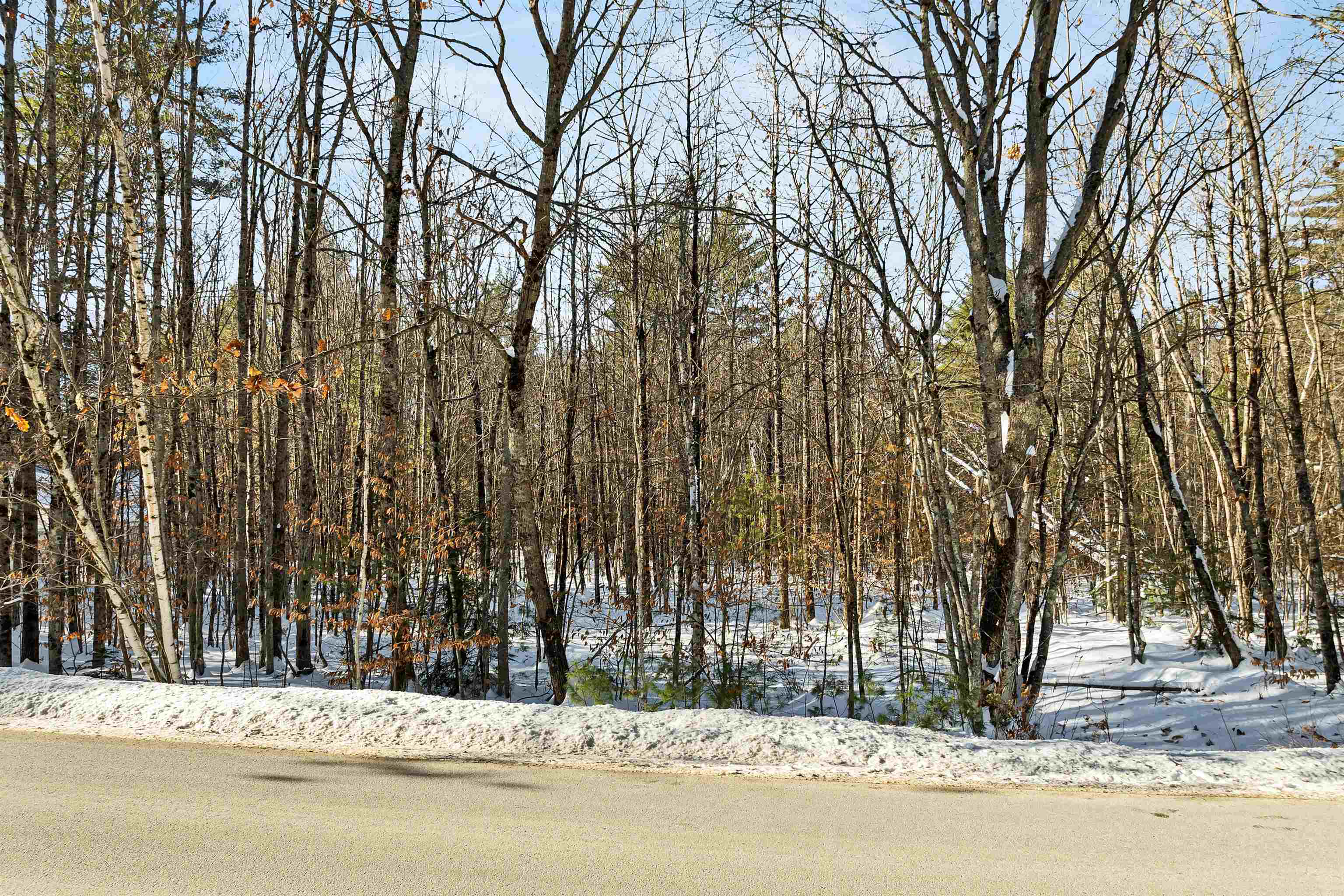 0 Green Mountain Road, Unit 13 Effingham, NH 03882 - Photo 22 of 22