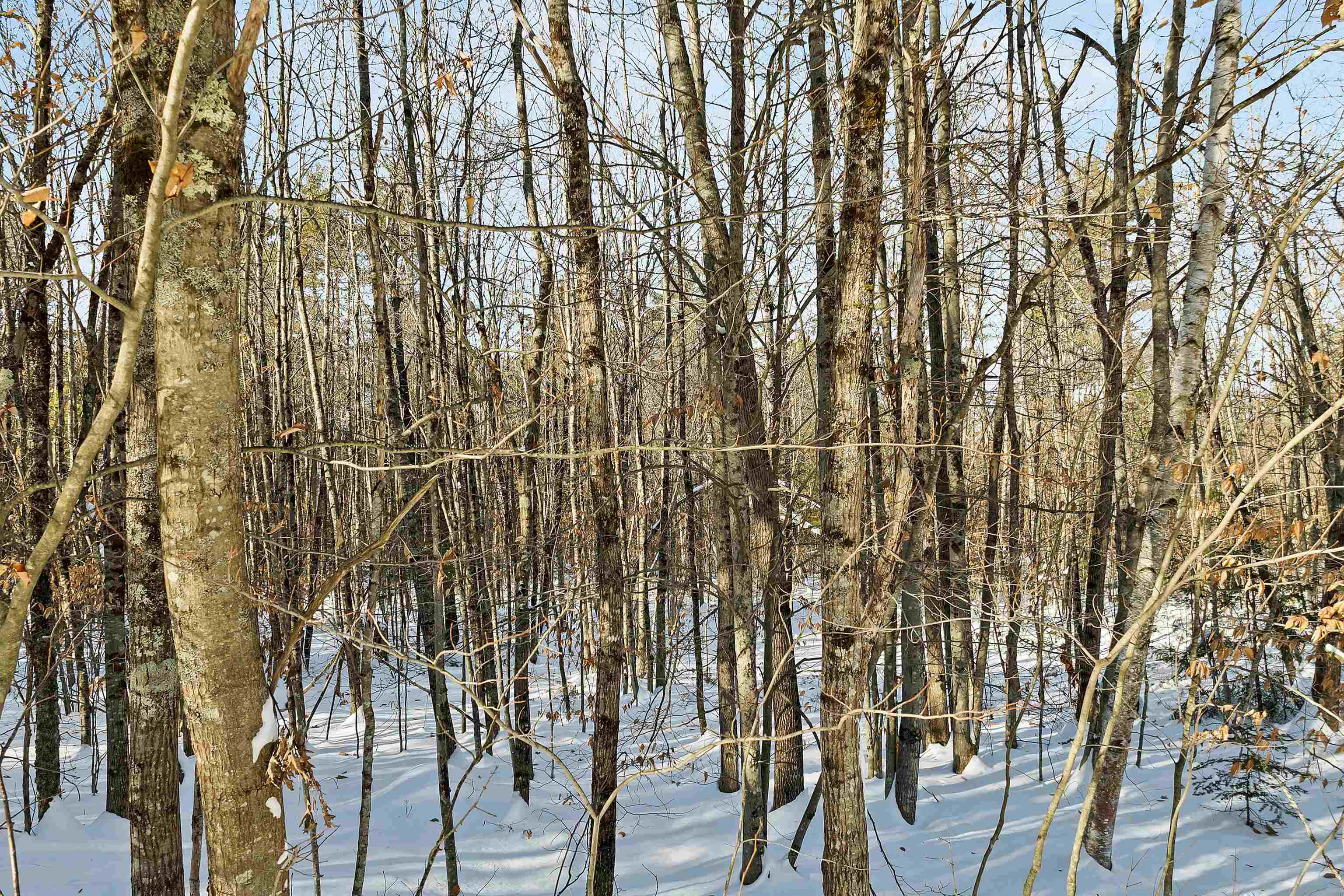 0 Green Mountain Road, Unit 13 Effingham, NH 03882 - Photo 10 of 22