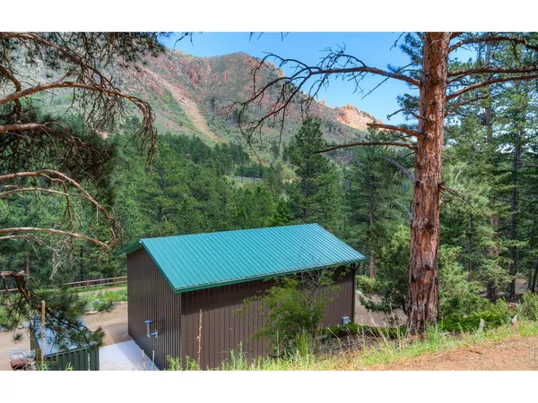 a view of a backyard with potted plants and large trees