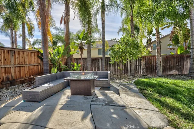 a view of a park with large trees