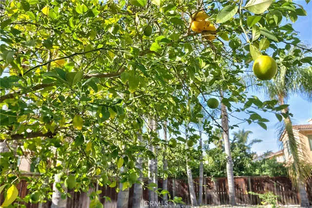 $875,000 | 29419 Shady Lane, Murrieta, CA 92563