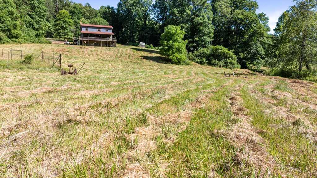 2954 Cutcane Road Mineral Bluff, GA 30559 - Photo 12 of 64 Gallery Image 12