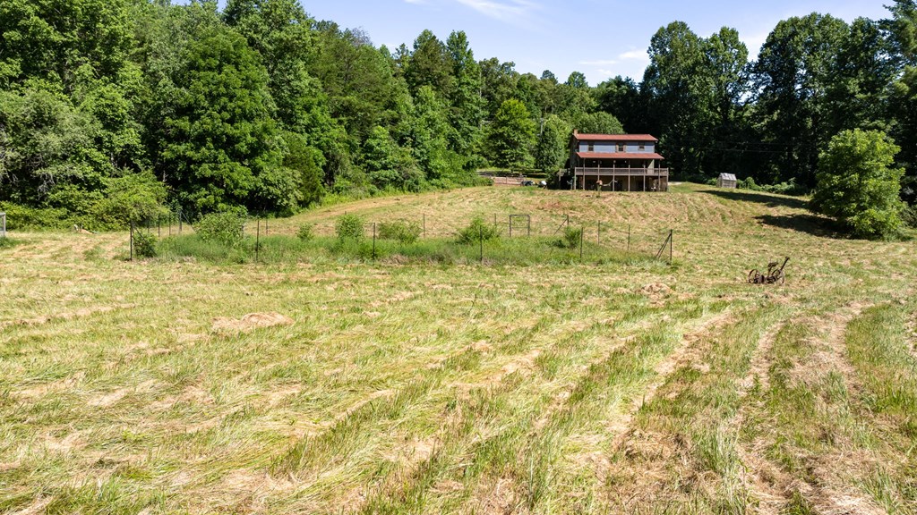 2954 Cutcane Road Mineral Bluff, GA 30559 - Photo 17 of 64 Gallery Image 17
