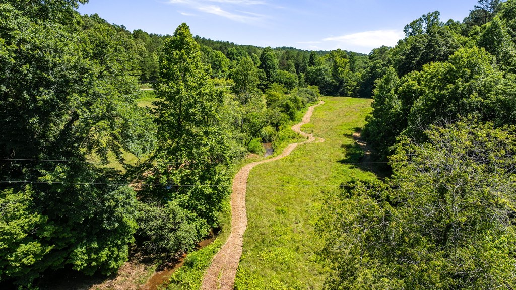 2954 Cutcane Road Mineral Bluff, GA 30559 - Photo 22 of 64 Gallery Image 22
