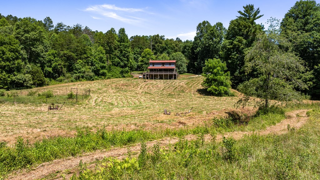2954 Cutcane Road Mineral Bluff, GA 30559 - Photo 27 of 64 Gallery Image 27