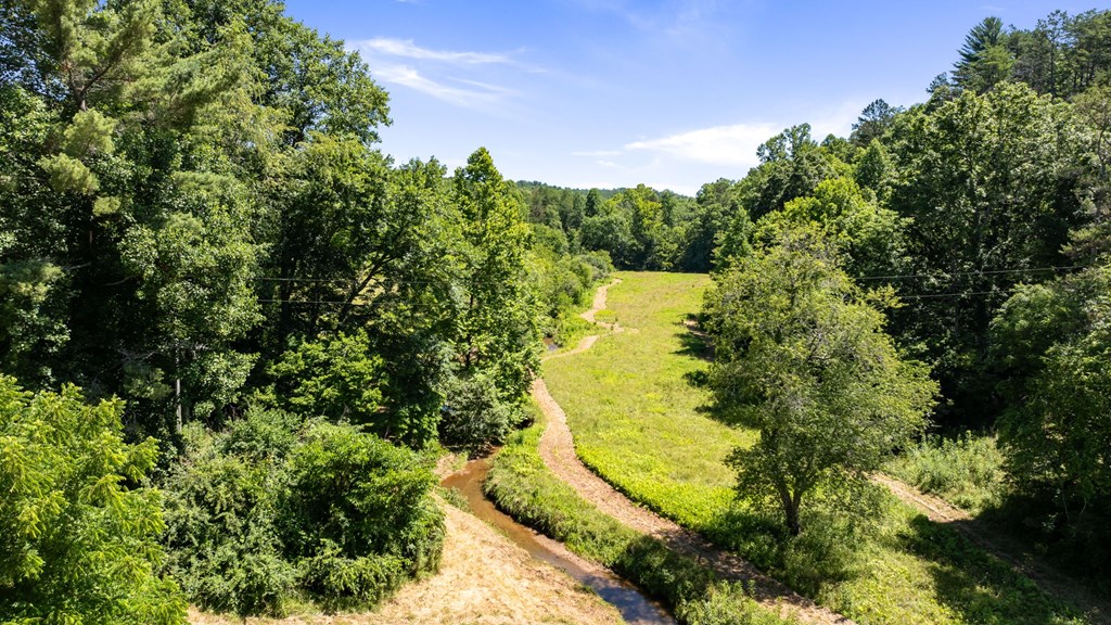 2954 Cutcane Road Mineral Bluff, GA 30559 - Photo 28 of 64 Gallery Image 28