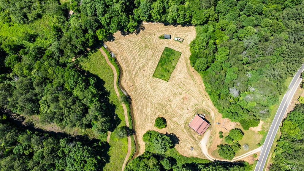 2954 Cutcane Road Mineral Bluff, GA 30559 - Photo 30 of 64 Aerial View of 2954 Cutcane Rd.