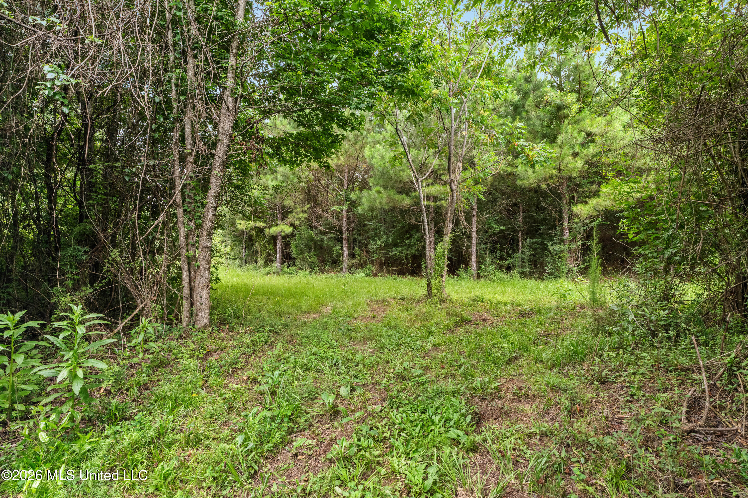 232 Knoxo Columbia Road Tylertown, MS 39667 - Photo 89 of 120 232_Knoxo_Columbia_Rd-88