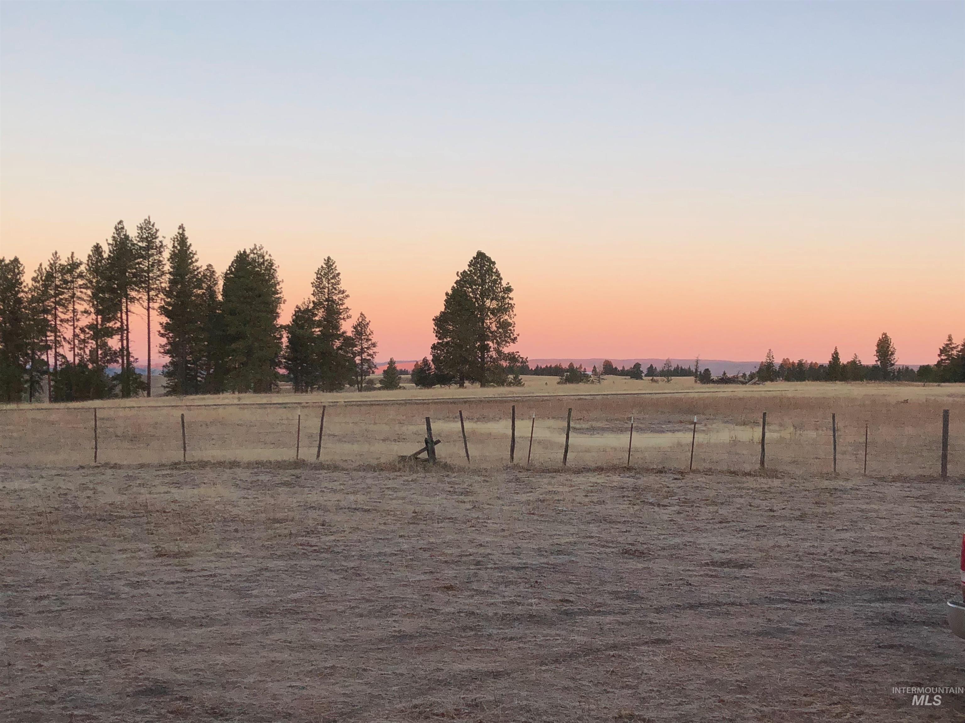 Yard at dusk featuring a rural view