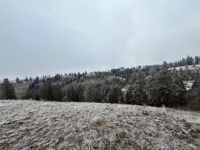 $1,280,000 | Tbd Billy Creek Road, Cottonwood, ID 83522