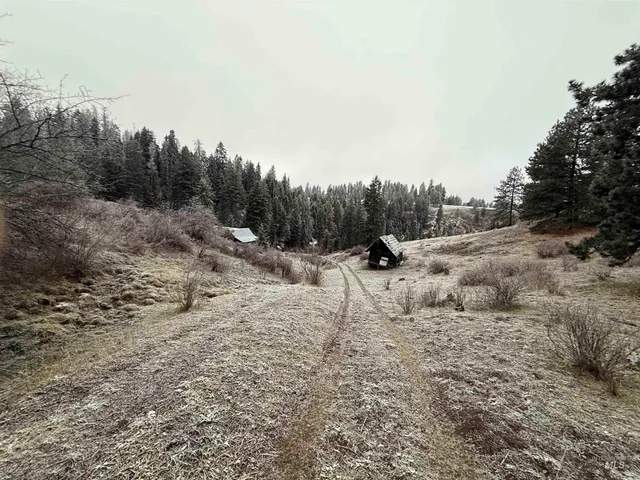 $1,280,000 | Tbd Billy Creek Road, Cottonwood, ID 83522