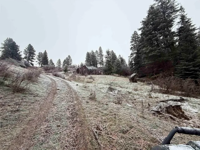 $1,280,000 | Tbd Billy Creek Road, Cottonwood, ID 83522
