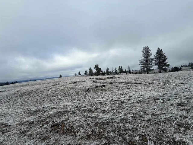 $1,280,000 | Tbd Billy Creek Road, Cottonwood, ID 83522