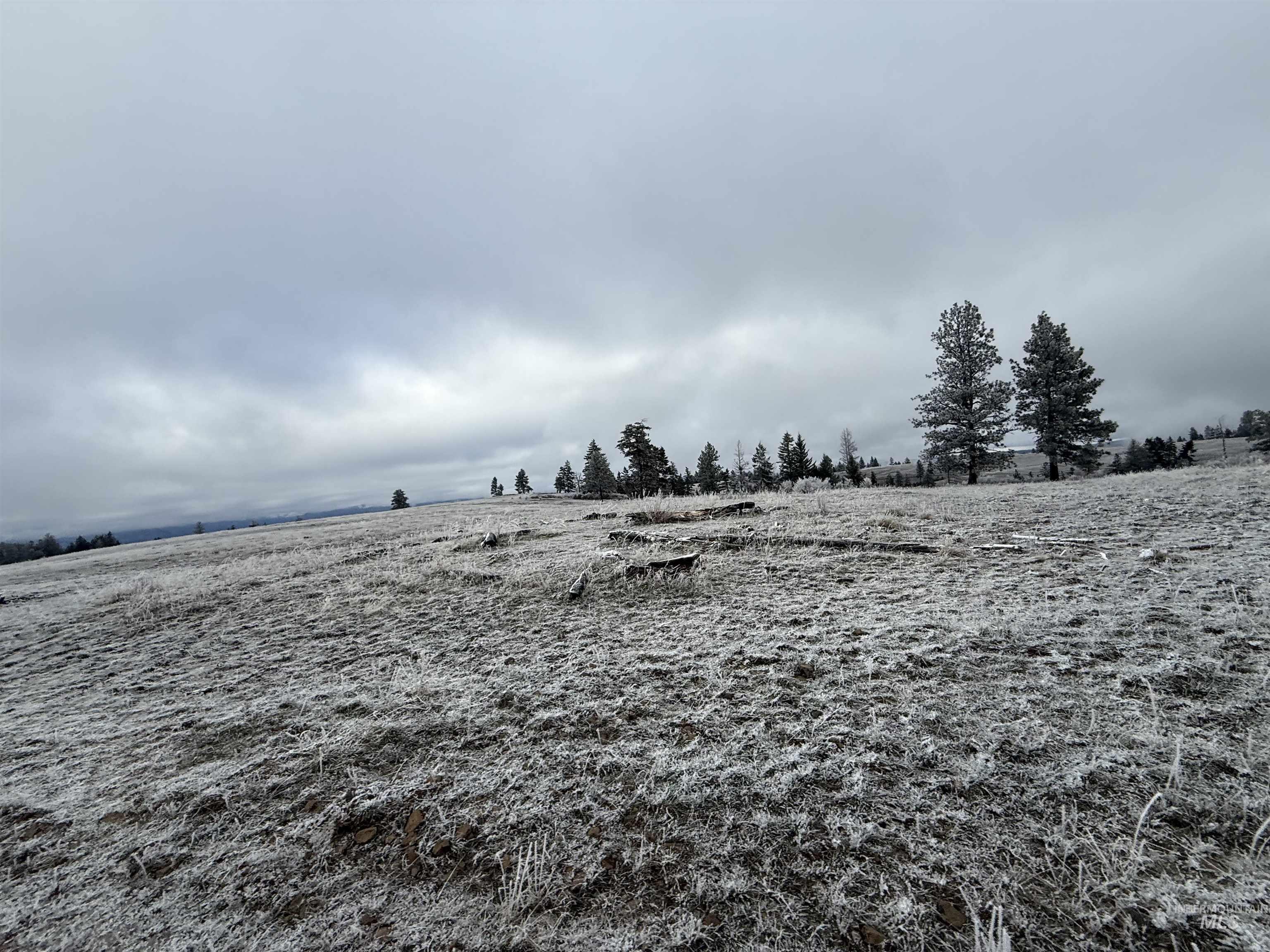 Tbd Billy Creek Road Cottonwood, ID 83522 - Photo 15 of 39 View of yard featuring a view of countryside