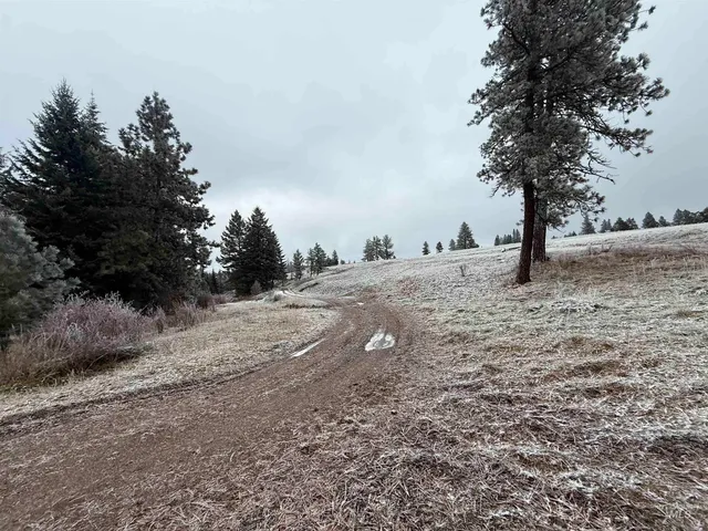$1,280,000 | Tbd Billy Creek Road, Cottonwood, ID 83522