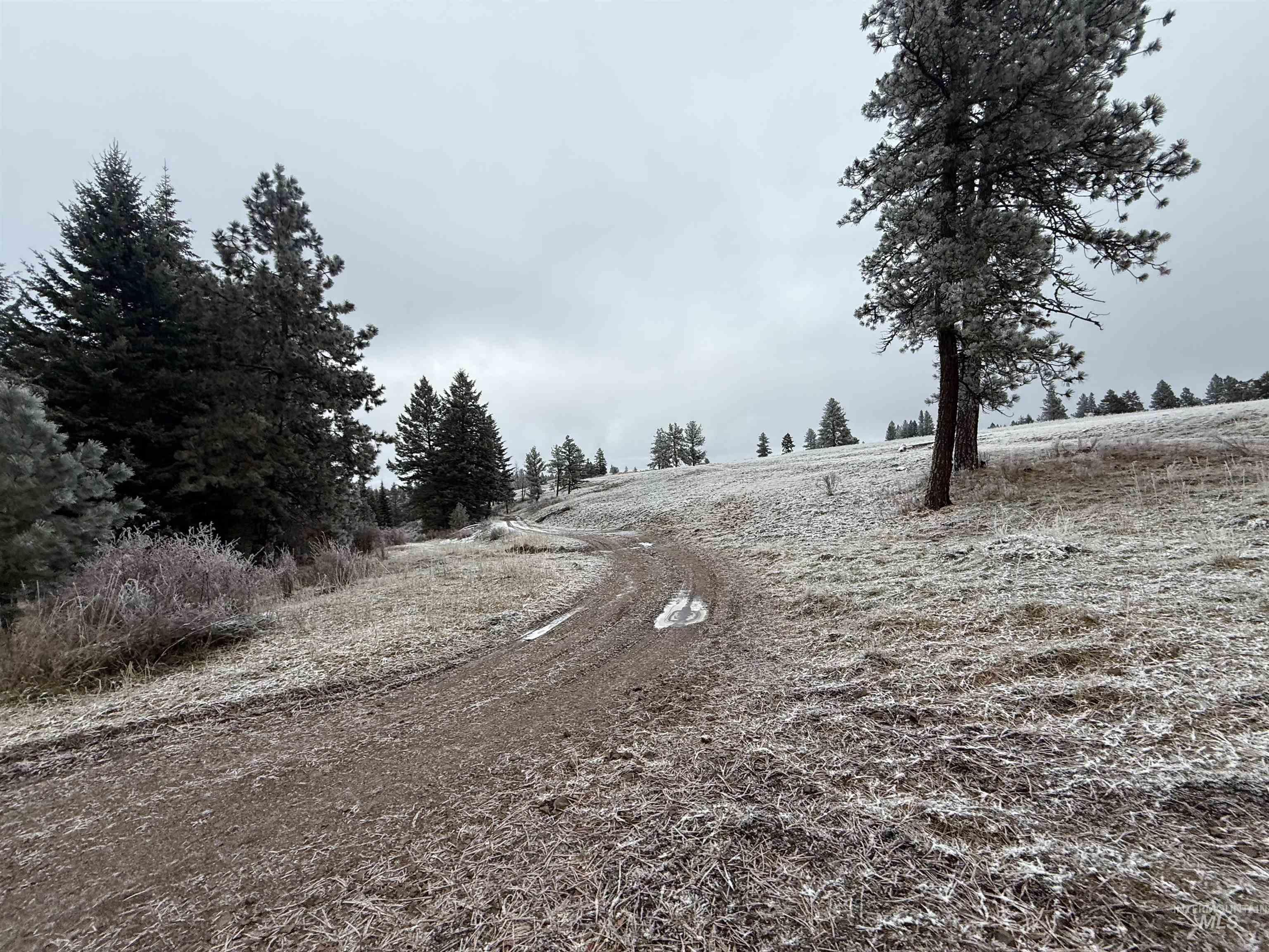 Tbd Billy Creek Road Cottonwood, ID 83522 - Photo 16 of 39 View of road featuring a view of rural / pastoral area