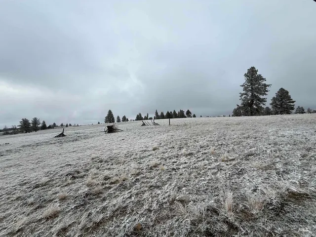 $1,280,000 | Tbd Billy Creek Road, Cottonwood, ID 83522