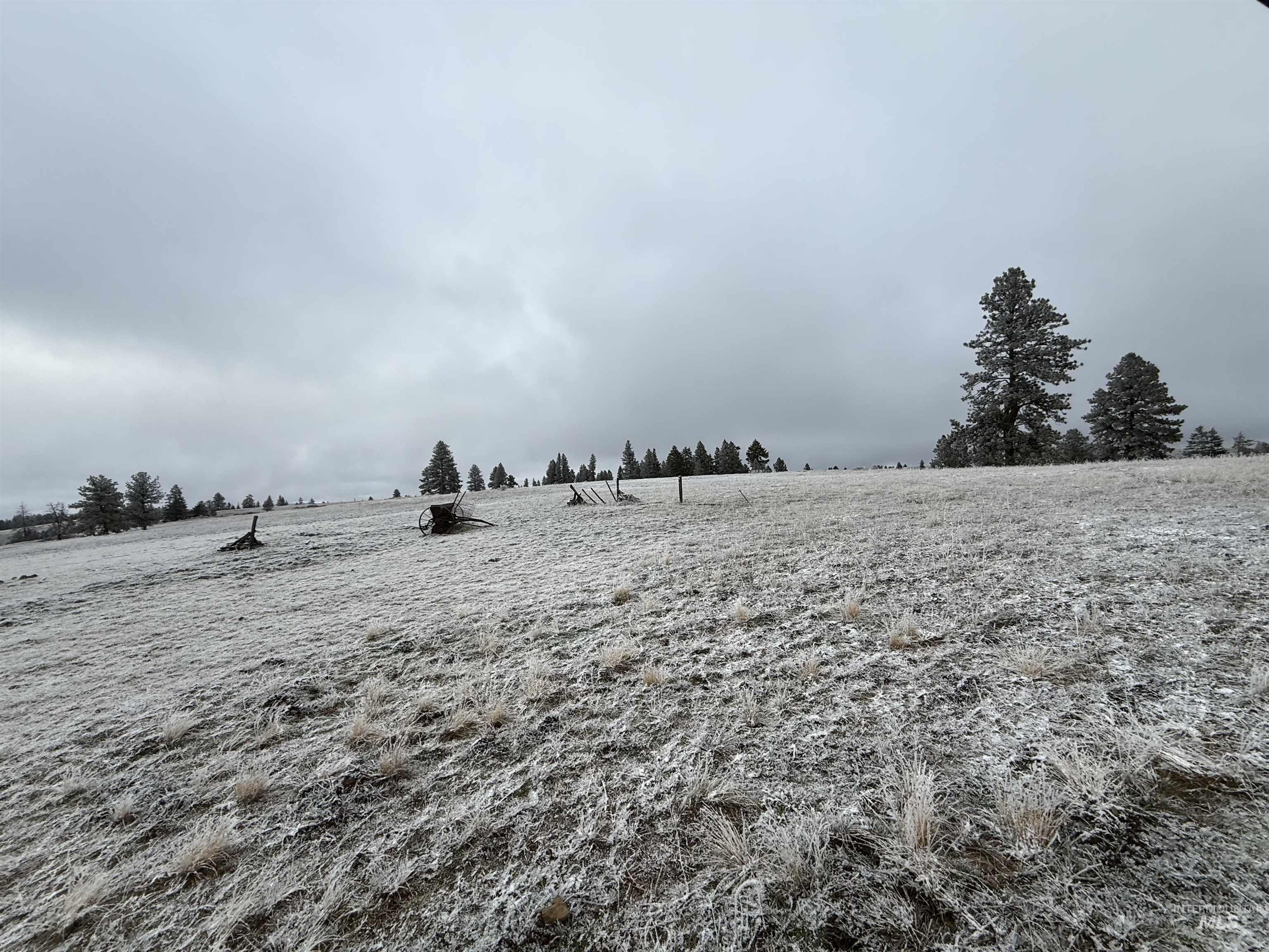 Tbd Billy Creek Road Cottonwood, ID 83522 - Photo 17 of 39 View of yard with a view of countryside